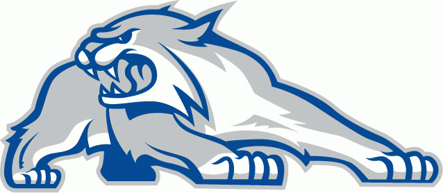 New Hampshire Wildcats 2000-Pres Alternate Logo t shirts iron on transfers v2